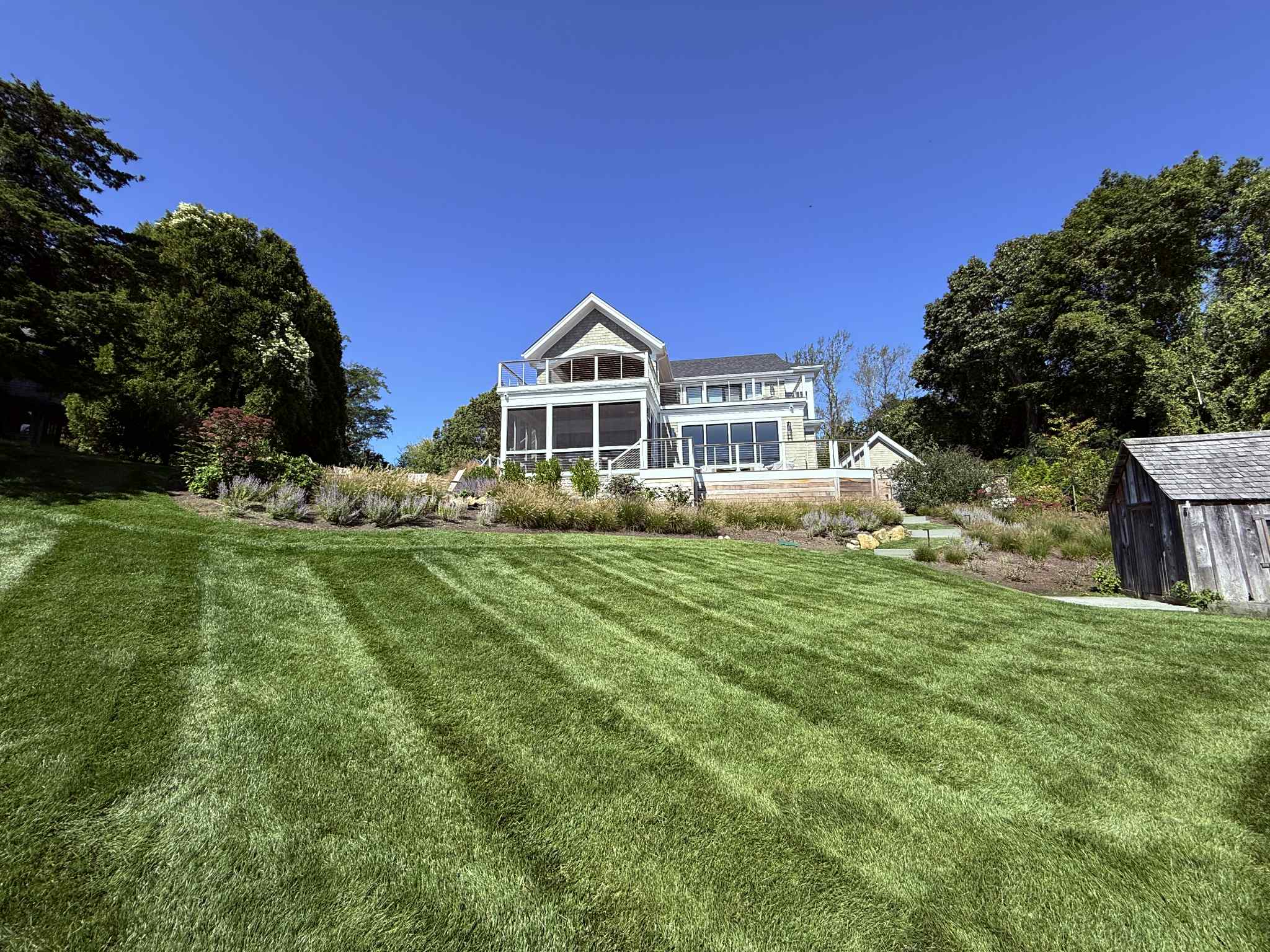 Professional Lawn Care