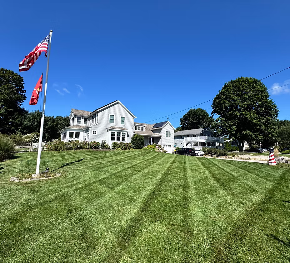 Summer Property Care